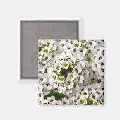 Mini White Flowers Magneet (Voorkant / Achterkant)