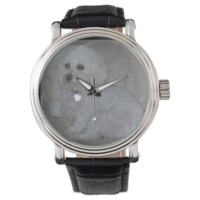 Mini witte poedel polshorloge horloge (Voorkant)