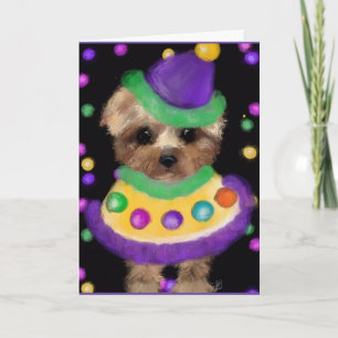 MINI YORKIE POO   KAART
