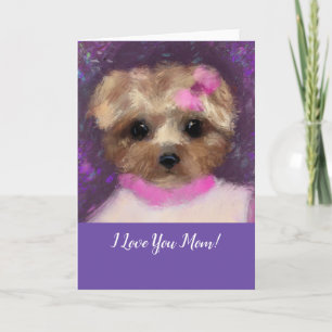 MINI YORKIE POO   KAART