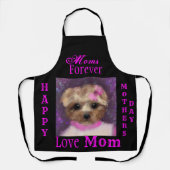 MINI YORKIE POO    SCHORT (Voorkant)