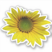 mini zonnebloem sticker (Voorkant)