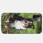 Miniature American Shepherd Black Tri Zittend Case-Mate iPhone Case (Achterkant (horizontaal))