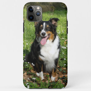 Miniature American Shepherd Black Tri Zittend Case-Mate iPhone Case