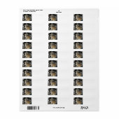 Miniature American Shepherd Blue Merle tweede Etiket (Full Sheet)