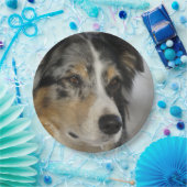 Miniature American Shepherd Blue Merle tweede Papieren Bordje (Feest)