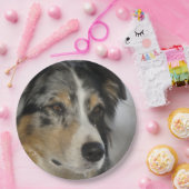 Miniature American Shepherd Blue Merle tweede Papieren Bordje (Feest)