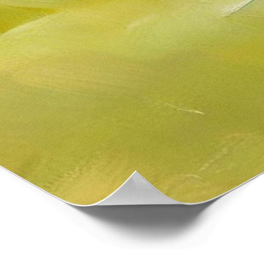 Miniature American Shepherd Dog Poster (Hoek)