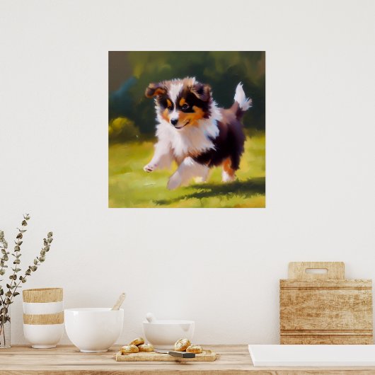 Miniature American Shepherd Dog Poster (Keuken)