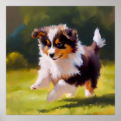 Miniature American Shepherd Dog Poster (Voorkant)