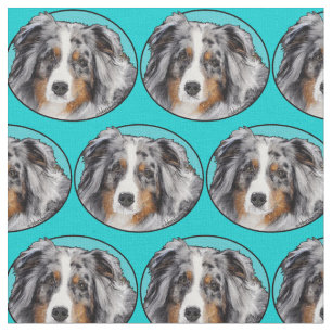Miniature American Shepherd Stof