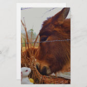 Miniature Brown horse & Easter Bunny Briefpapier (Voorkant / Achterkant)