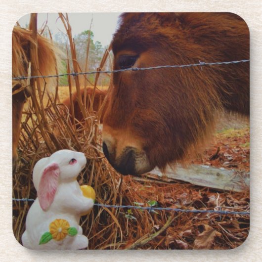 Miniature Brown horse & Easter Bunny Drankjes Onderzetter (Voorkant)