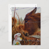 Miniature Brown horse & Easter Bunny Feestdagenkaart (Voorkant / Achterkant)