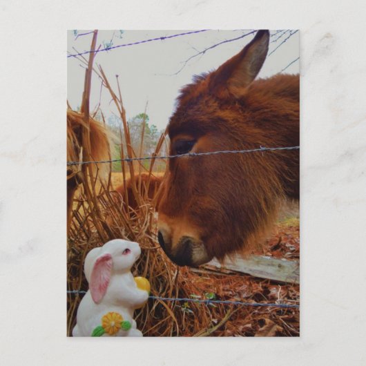 Miniature Brown horse & Easter Bunny Feestdagenkaart (Voorkant)