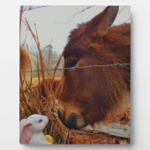 Miniature Brown horse & Easter Bunny Fotoplaat (Voorkant)