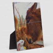 Miniature Brown horse & Easter Bunny Fotoplaat (Zijkant)