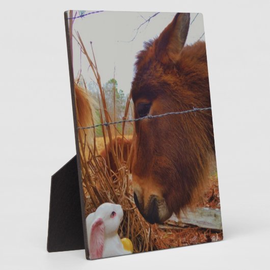 Miniature Brown horse & Easter Bunny Fotoplaat (Zijkant)