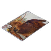 Miniature Brown horse & Easter Bunny Notitieboek (Linkerzijde)