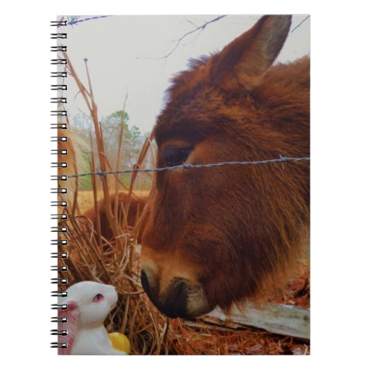 Miniature Brown horse & Easter Bunny Notitieboek (Voorkant)