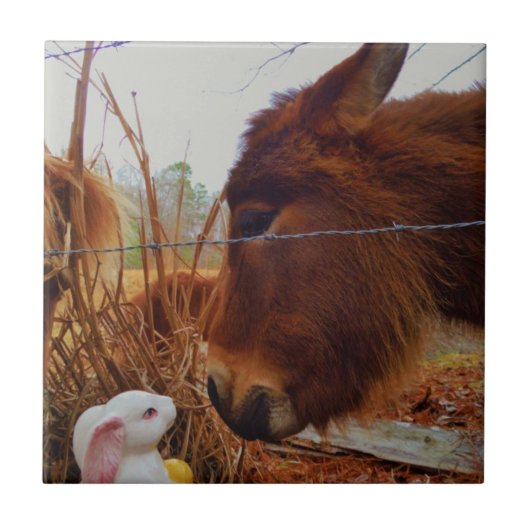 Miniature Brown horse & Easter Bunny Tegeltje (Voorkant)