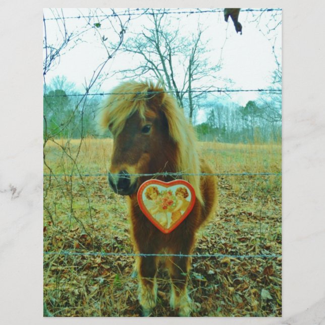 Miniature Brown horse Valentijn Heart (Voorkant)