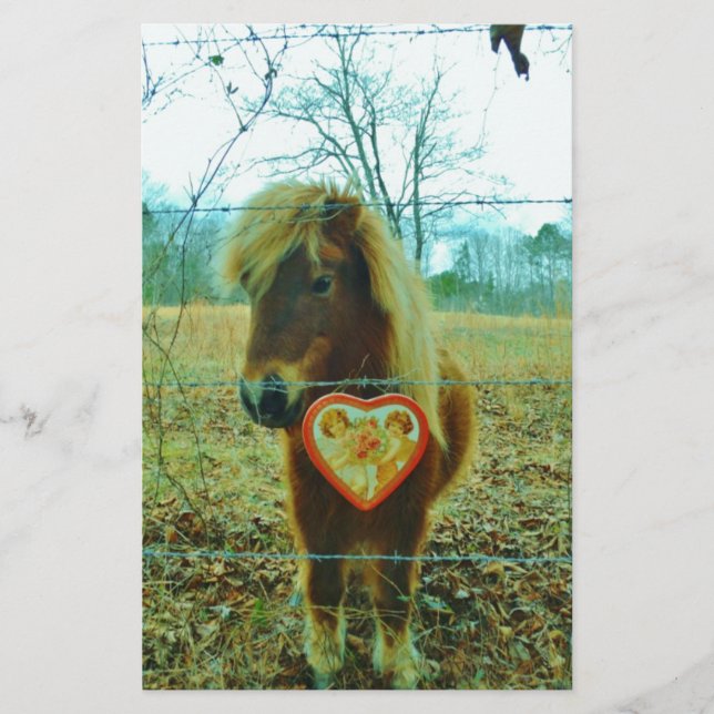 Miniature Brown horse Valentijn Heart (Voorkant)