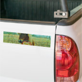 Miniature Brown horse Valentijn Heart Bumpersticker (Op Truck)