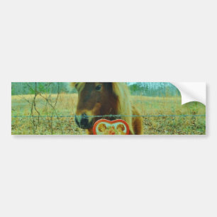 Miniature Brown horse Valentijn Heart Bumpersticker