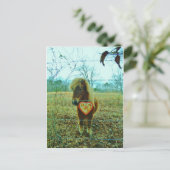 Miniature Brown horse Valentijn Heart Feestdagenkaart (Staand voorkant)