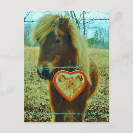 Miniature Brown horse Valentijn Heart Feestdagenkaart (Voorkant)