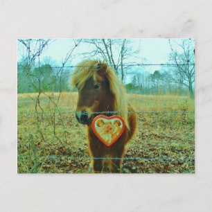 Miniature Brown horse Valentijn Heart Feestdagenkaart