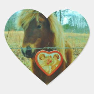 Miniature Brown horse Valentijn Heart Hart Sticker