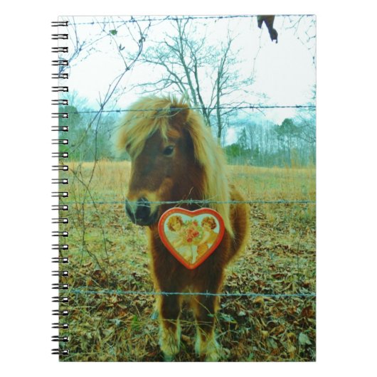 Miniature Brown horse Valentijn Heart Notitieboek (Voorkant)