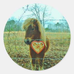 Miniature Brown horse Valentijn Heart Ronde Sticker