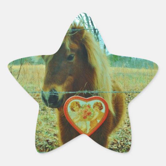Miniature Brown horse Valentijn Heart Ster Sticker (Voorkant)