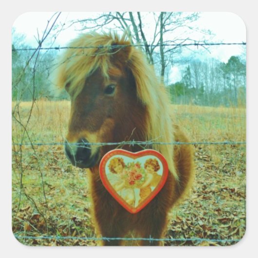 Miniature Brown horse Valentijn Heart Vierkante Sticker (Voorkant)