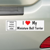 Miniature Bull Terrier Bumpersticker (Op auto)