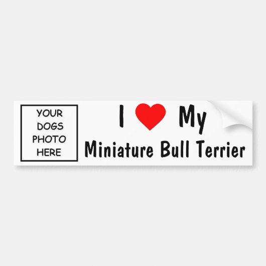 Miniature Bull Terrier Bumpersticker (Voorkant)