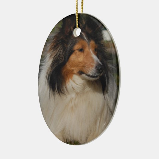 Miniature Collie Ornaemnt Keramisch Ornament (Links)