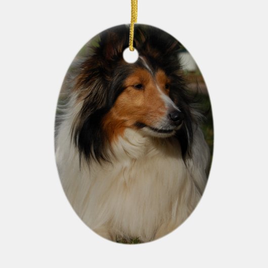 Miniature Collie Ornaemnt Keramisch Ornament (Voorkant)