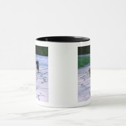 Miniature Dachshund 3 Mok (Midden)