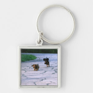 Miniature Dachshund 3 Sleutelhanger