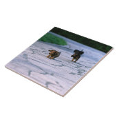 Miniature Dachshund 3 Tegeltje (Zijkant)