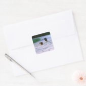Miniature Dachshund 3 Vierkante Sticker (Envelop)