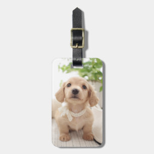 Miniature Dachshund Bagagelabel