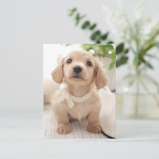 Miniature Dachshund Briefkaart (Staand voorkant)