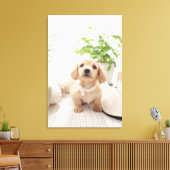 Miniature Dachshund Canvas Afdruk (Insitu (Woonkamer))
