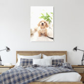 Miniature Dachshund Canvas Afdruk (Insitu (Slaapkamer))