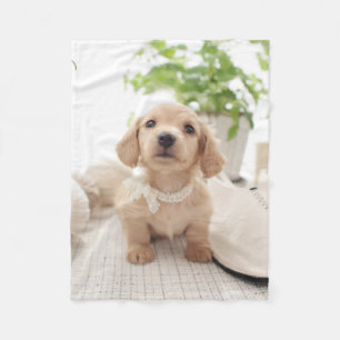 Miniature Dachshund Fleece Deken